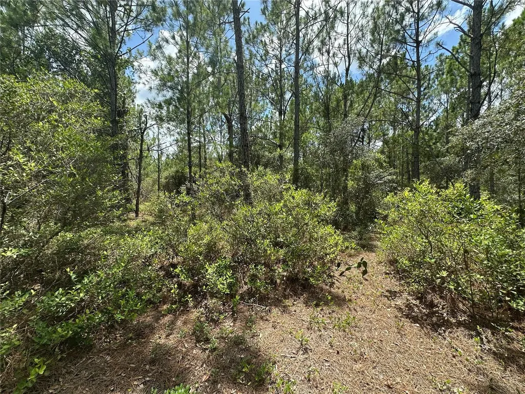 796 Fisher Road Ocklawaha FL 32179