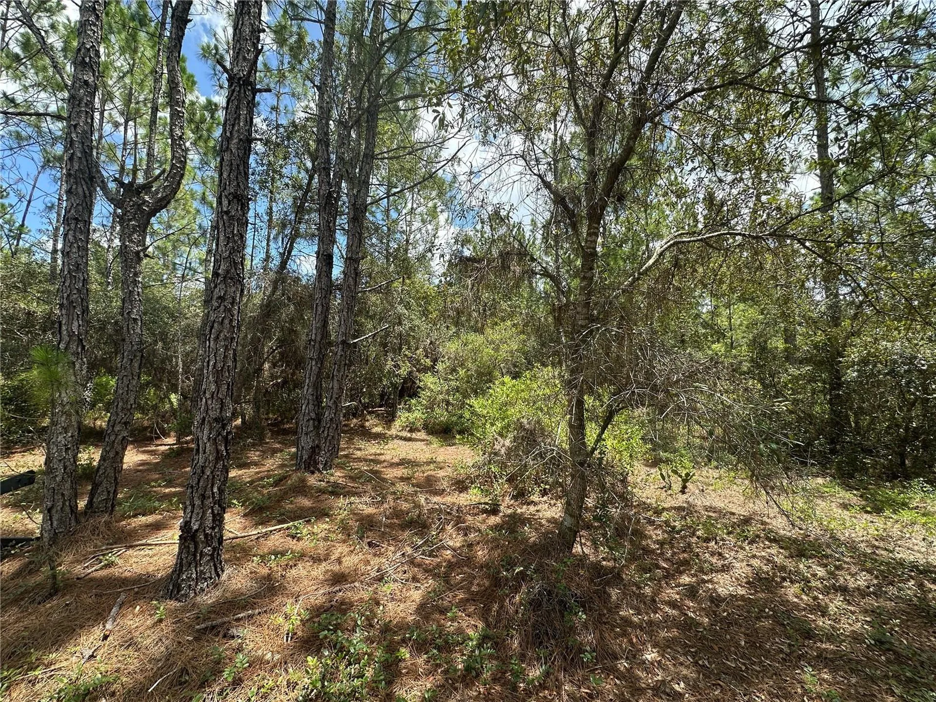 796 Fisher Road Ocklawaha FL 32179