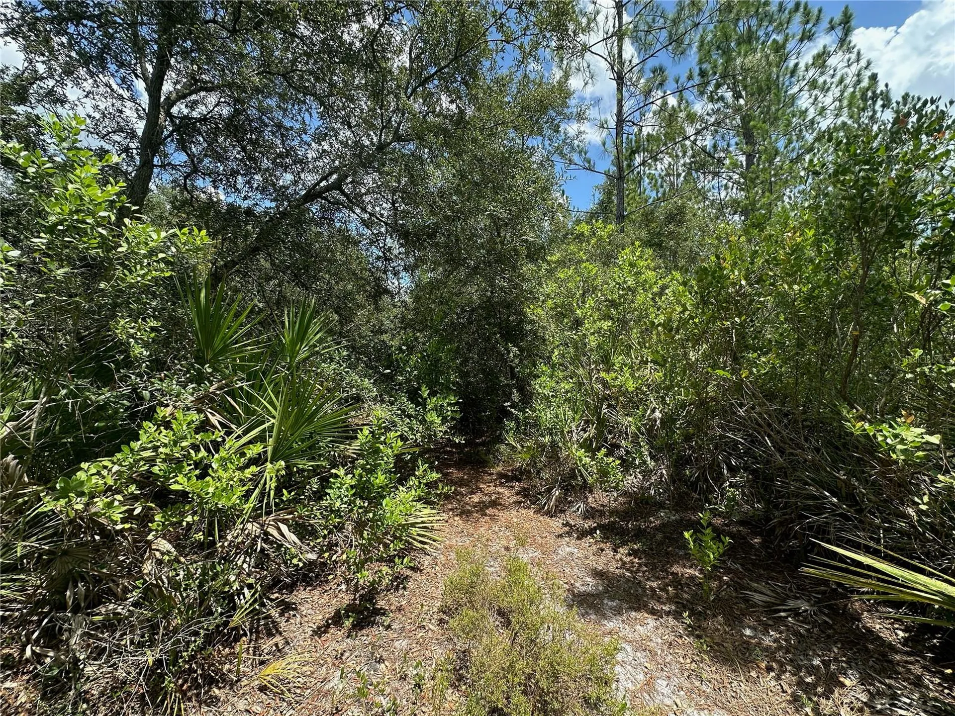 796 Fisher Road Ocklawaha FL 32179