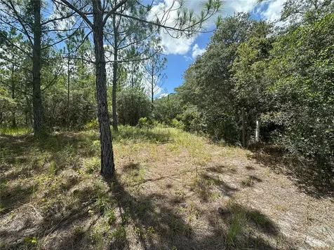 796 Fisher Road Ocklawaha FL 32179