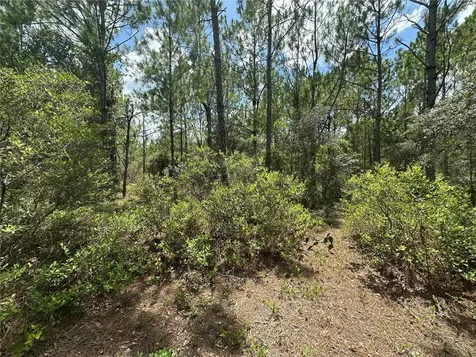 796 Fisher Road Ocklawaha FL 32179