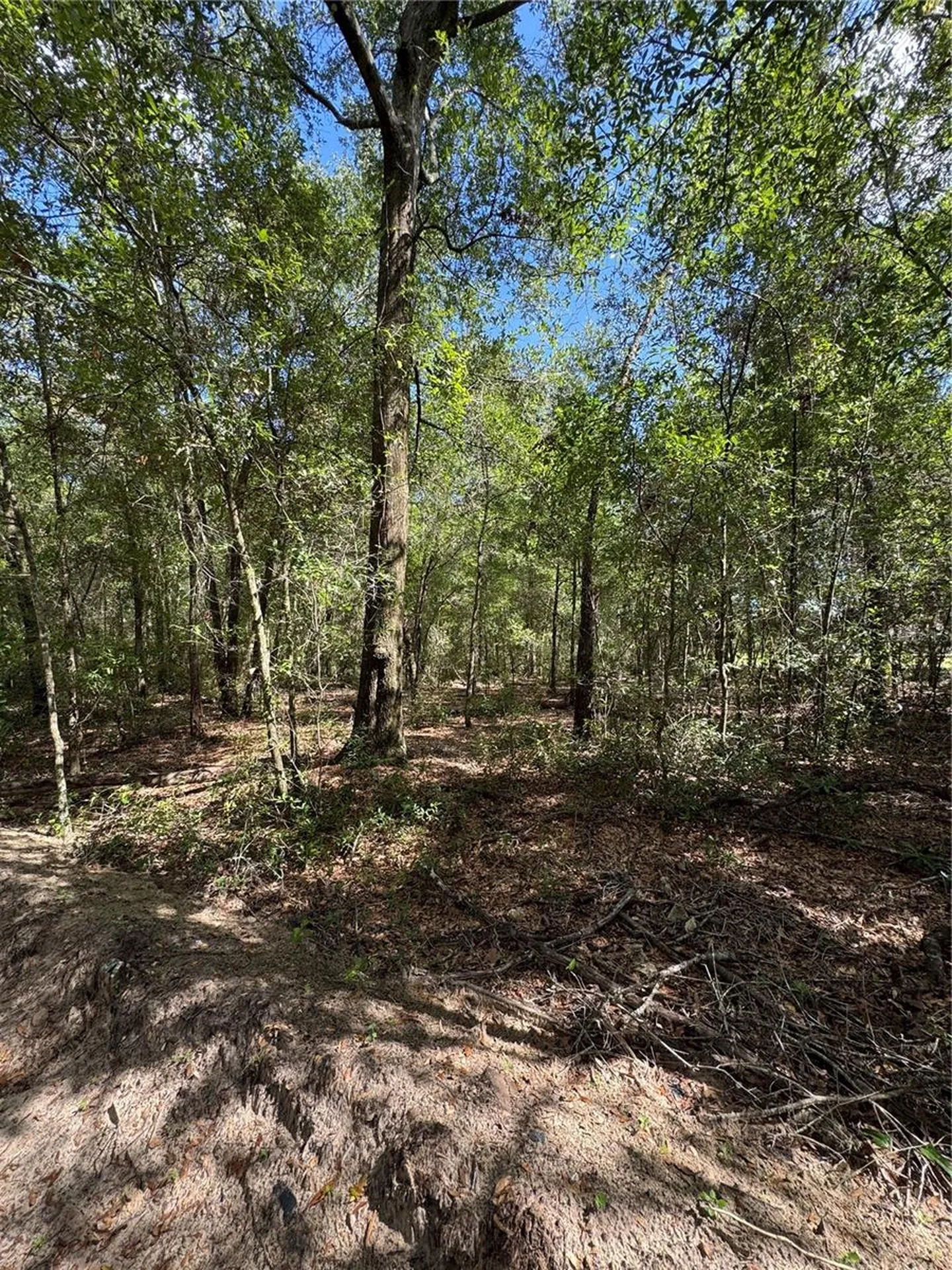 0 NW 14 Street Ocala FL 34482