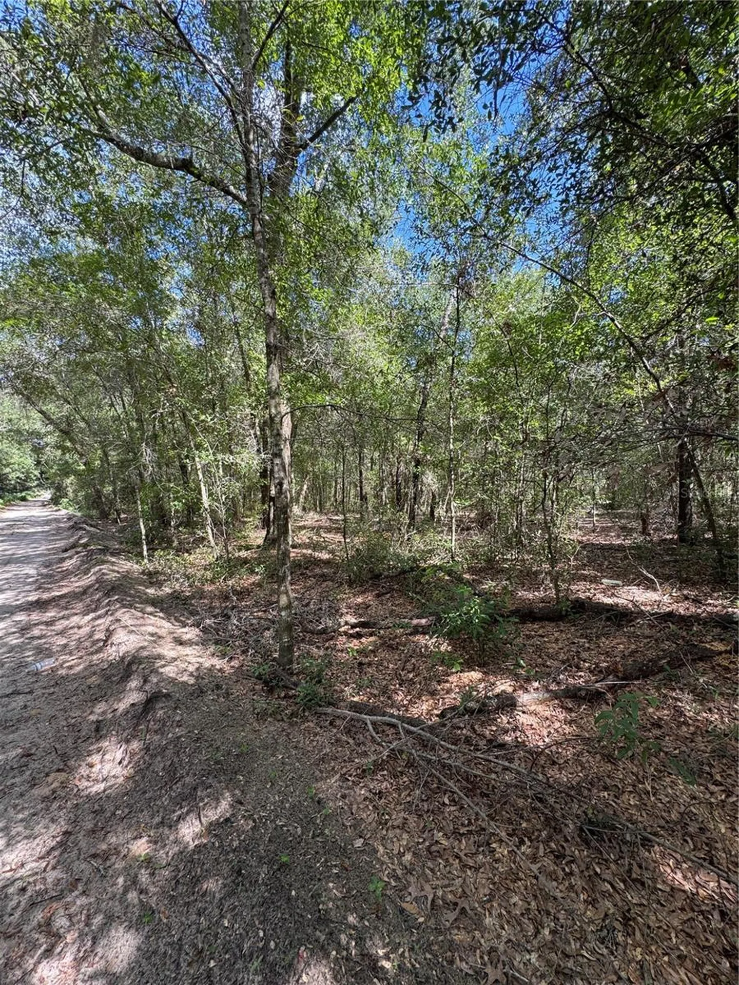 0 NW 14 Street Ocala FL 34482