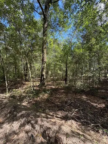 0 NW 14 Street Ocala FL 34482