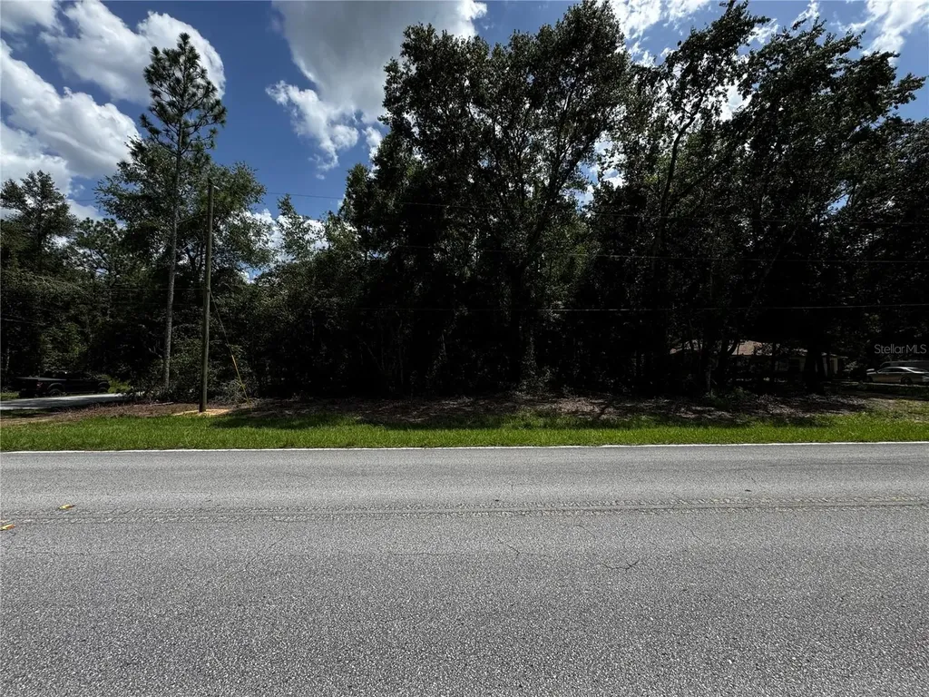 SW 54th Street Dunnellon FL 34431