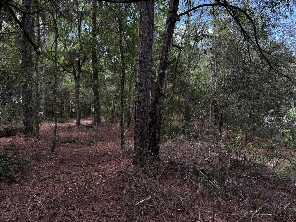 SW 54th Street Dunnellon FL 34431