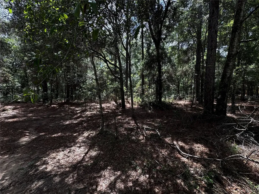 SW 54th Street Dunnellon FL 34431