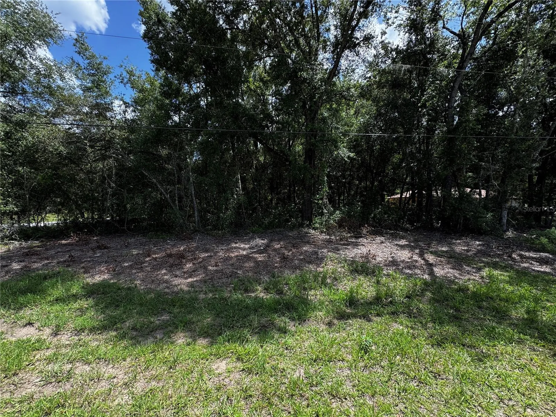 SW 54th Street Dunnellon FL 34431