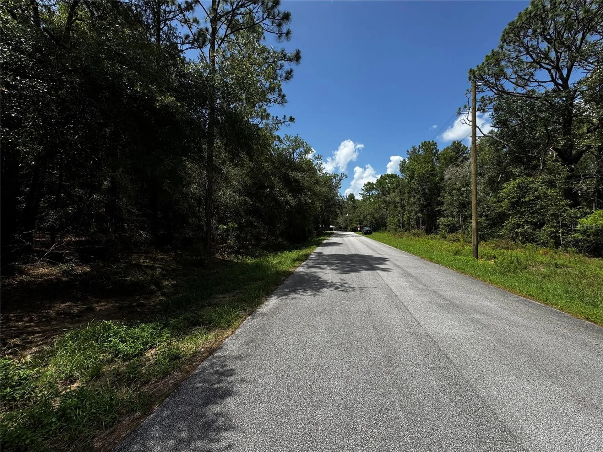 SW 54th Street Dunnellon FL 34431
