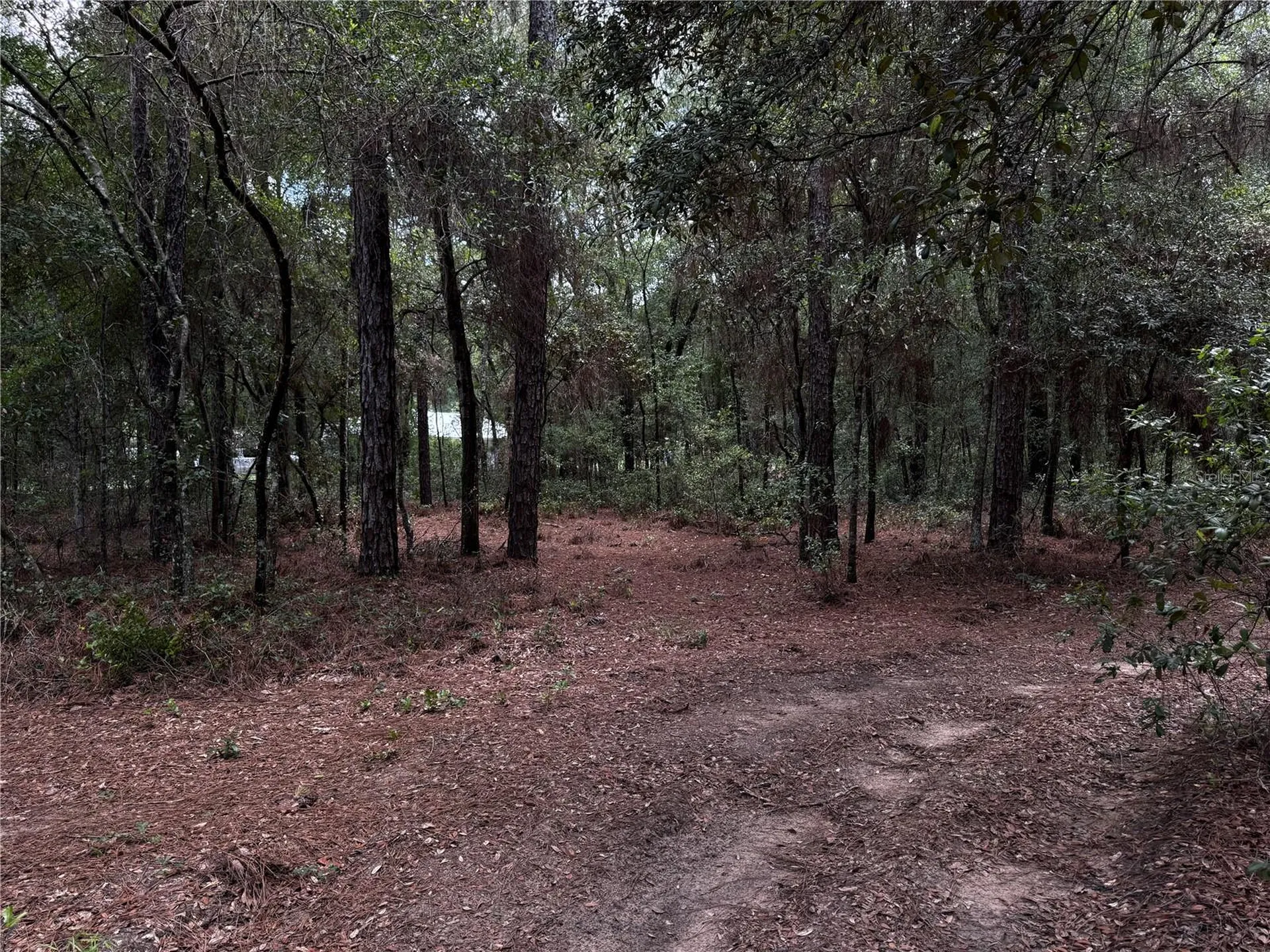 SW 54th Street Dunnellon FL 34431