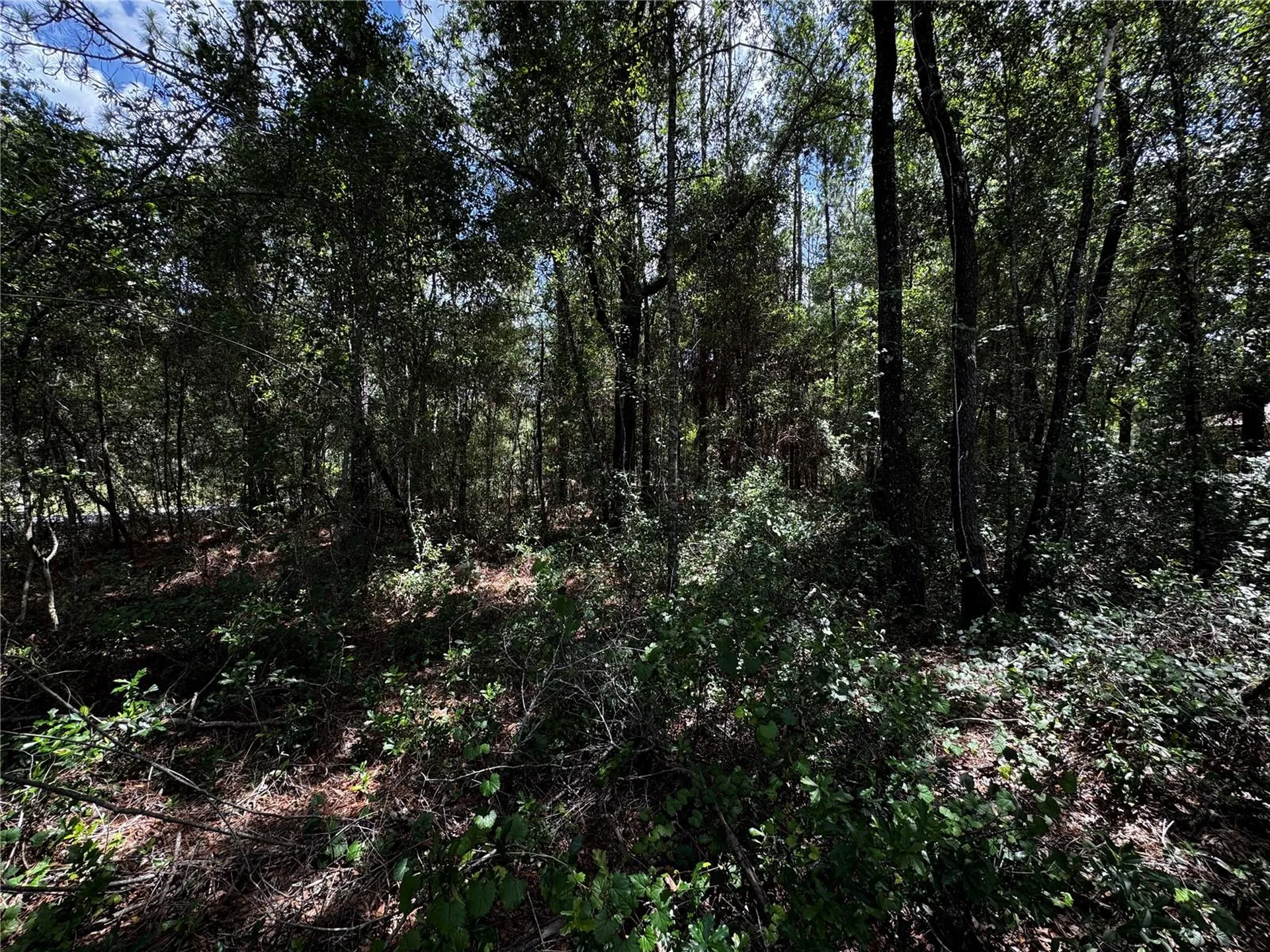 SW 54th Street Dunnellon FL 34431