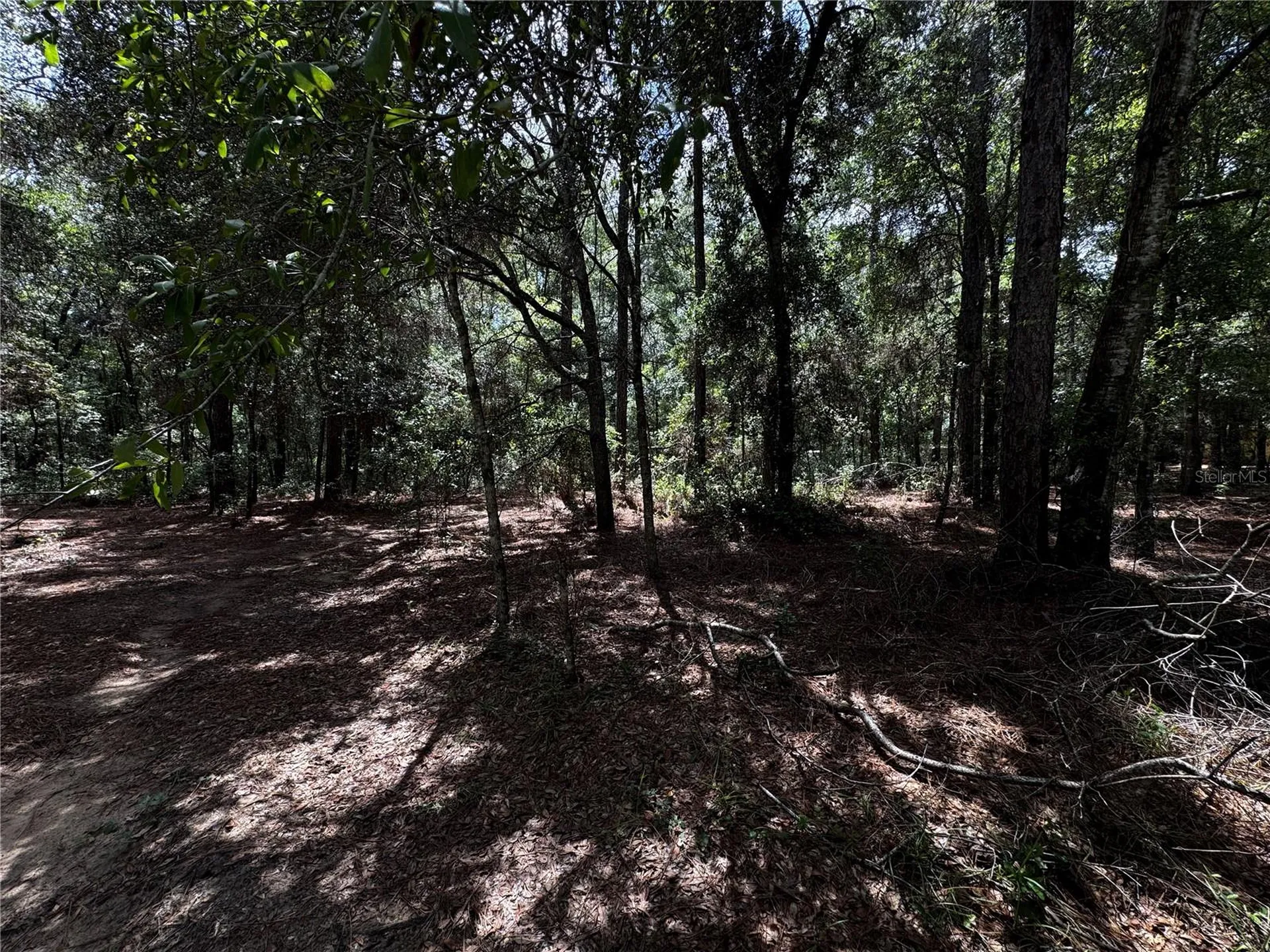 SW 54th Street Dunnellon FL 34431