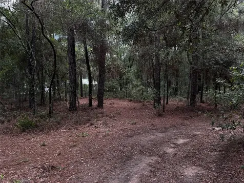 SW 54th Street Dunnellon FL 34431