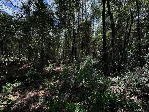 SW 54th Street Dunnellon FL 34431