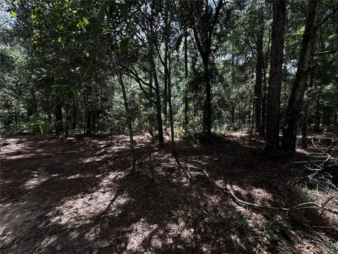SW 54th Street Dunnellon FL 34431