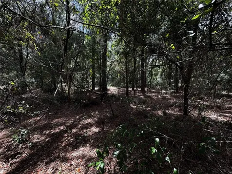 SW 54th Street Dunnellon FL 34431