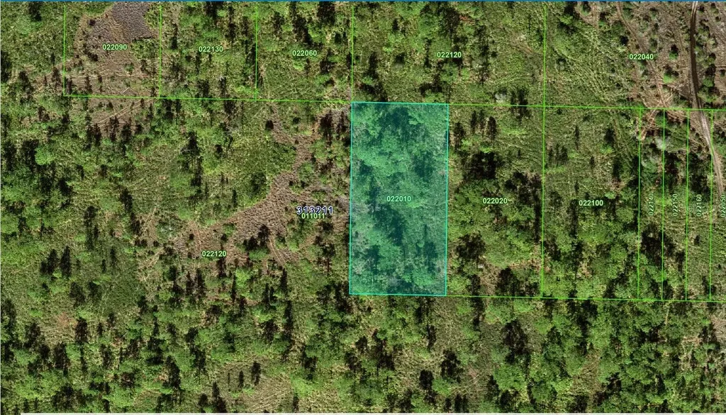 31-32-11-000000-022010 River Ranch Boulevard Lake Wales FL 33898