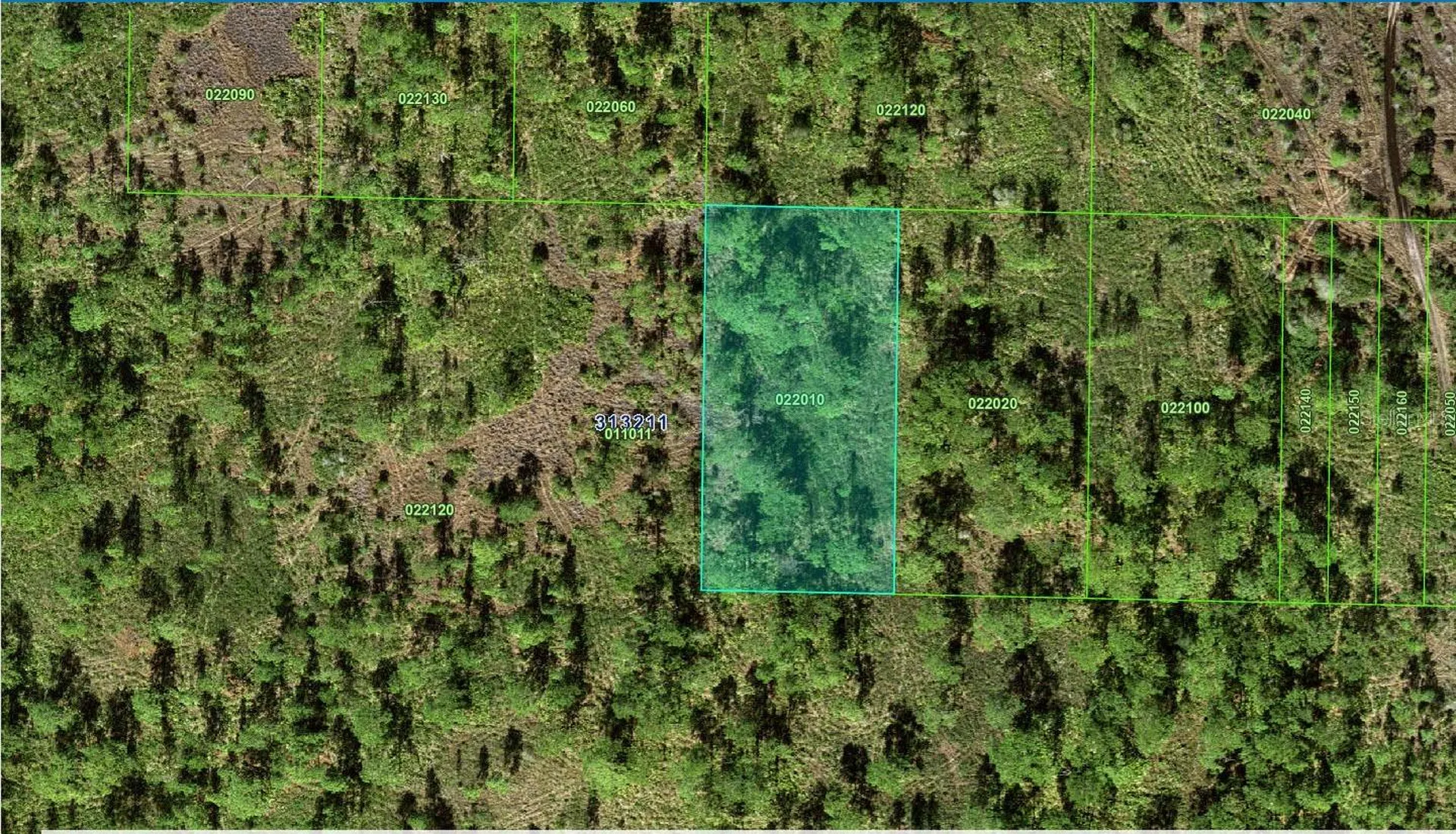 31-32-11-000000-022010 River Ranch Boulevard Lake Wales FL 33898