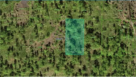 31-32-11-000000-022010 River Ranch Boulevard Lake Wales FL 33898