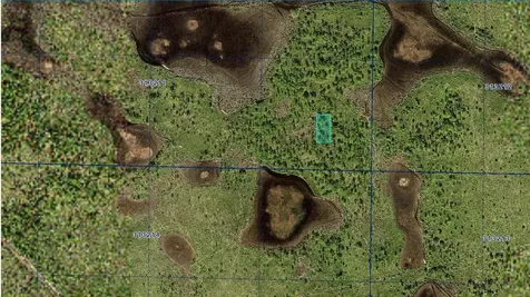 31-32-11-000000-022010 River Ranch Boulevard Lake Wales FL 33898