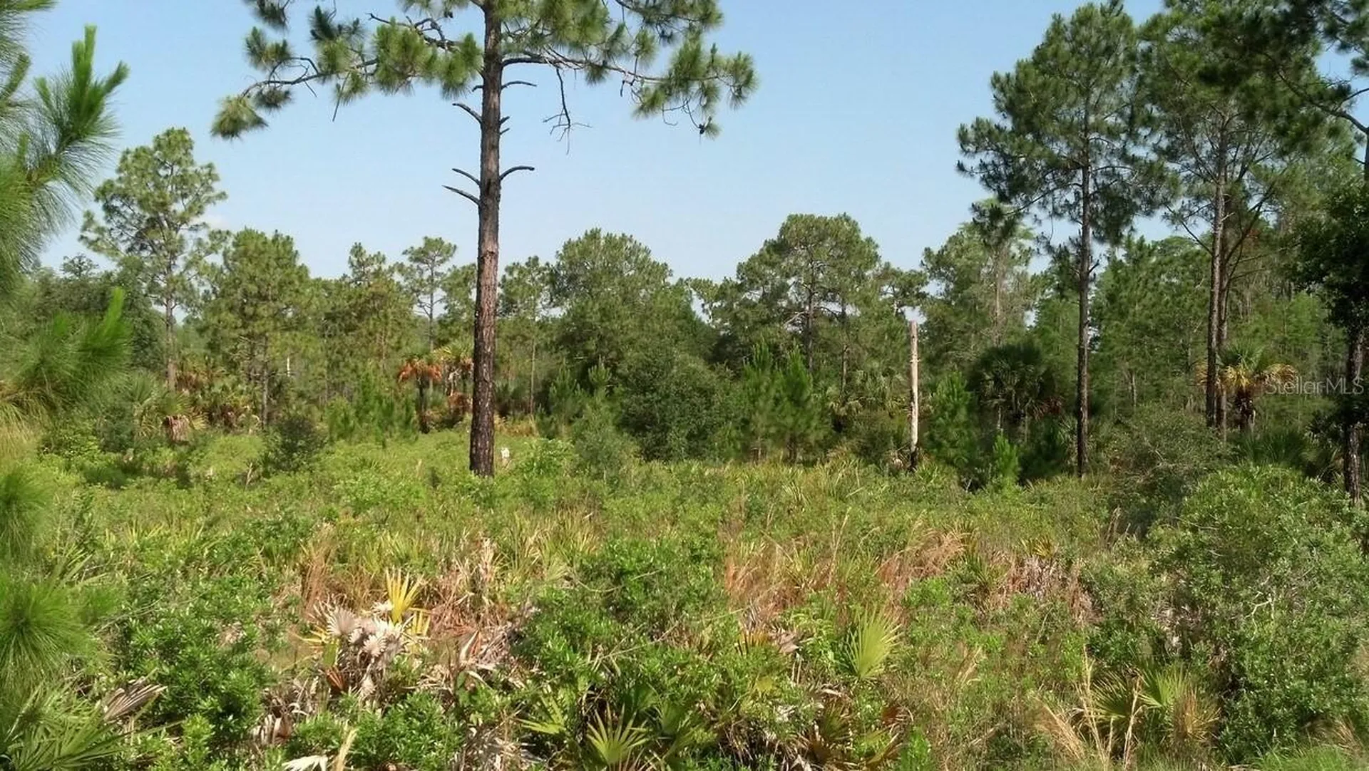 Port Charlotte FL 33981