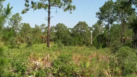 Port Charlotte FL 33981