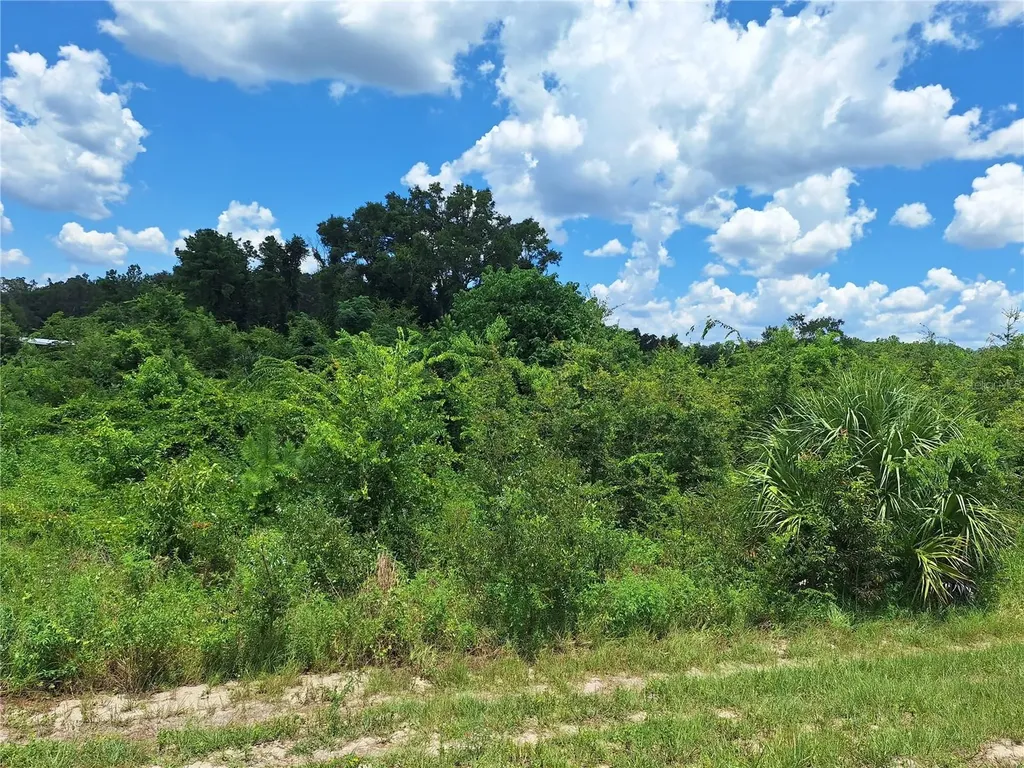 Tbd SE Highway 19 Old Town FL 32680