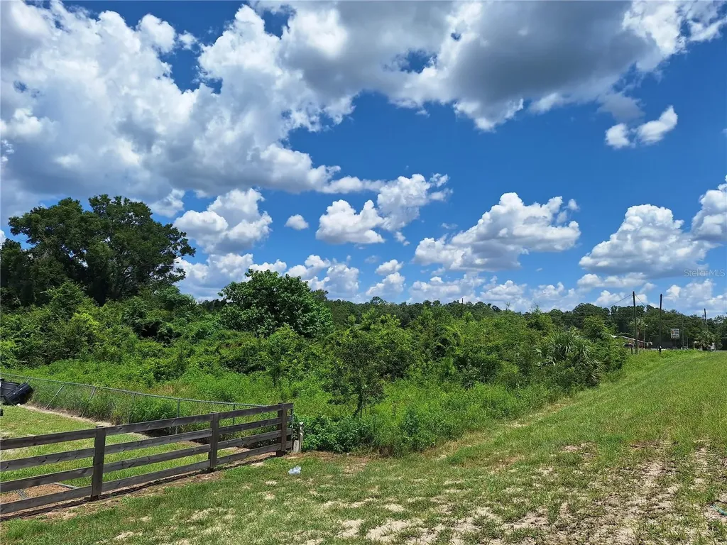 Tbd SE Highway 19 Old Town FL 32680