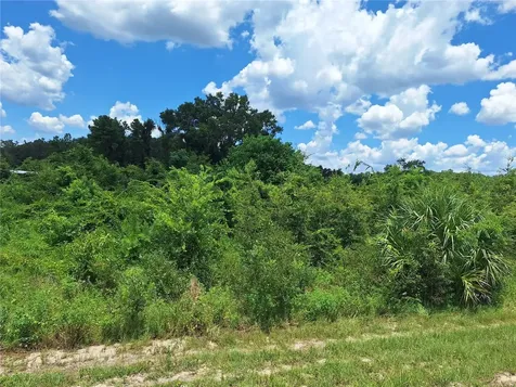 Tbd SE Highway 19 Old Town FL 32680