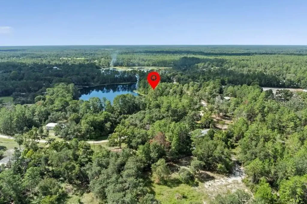 Pine Valley Drive Paisley FL 32767