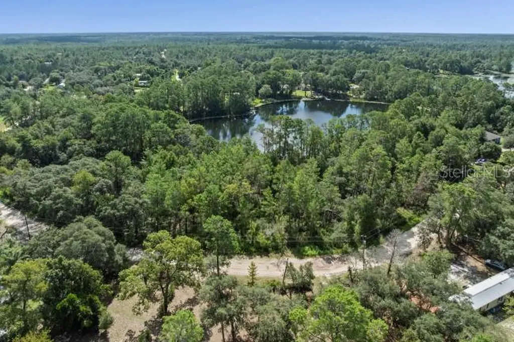 Pine Valley Drive Paisley FL 32767