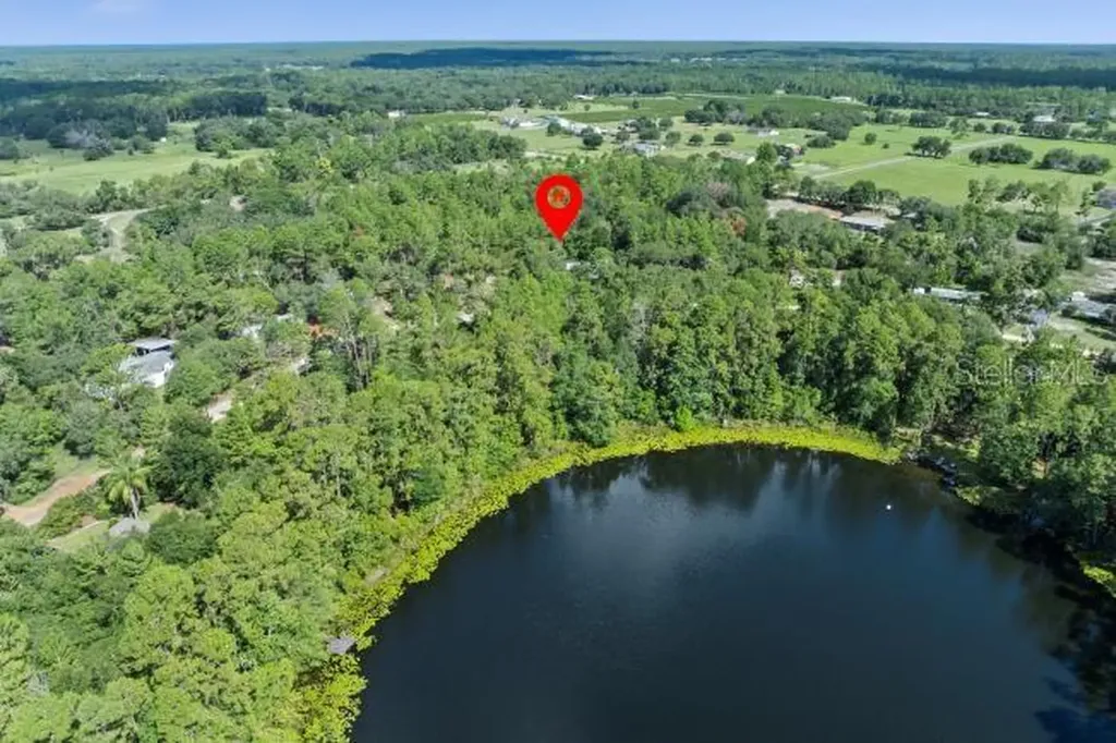 Pine Valley Drive Paisley FL 32767