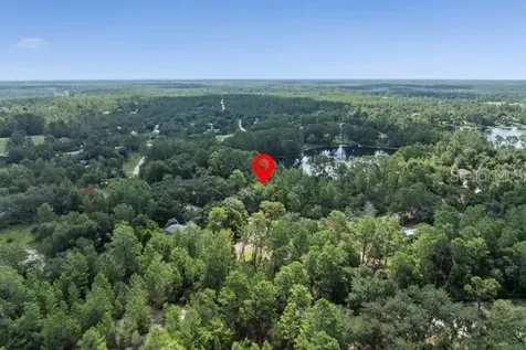 Pine Valley Drive Paisley FL 32767