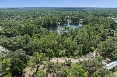 Pine Valley Drive Paisley FL 32767