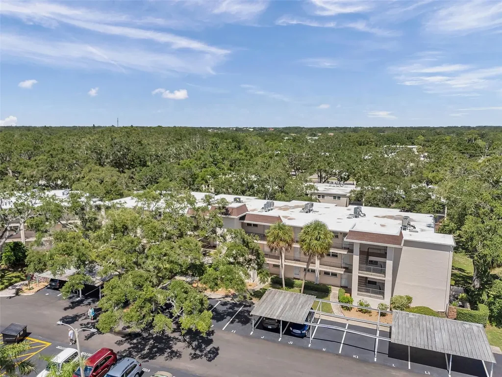 870 Virginia Street Dunedin FL 34698