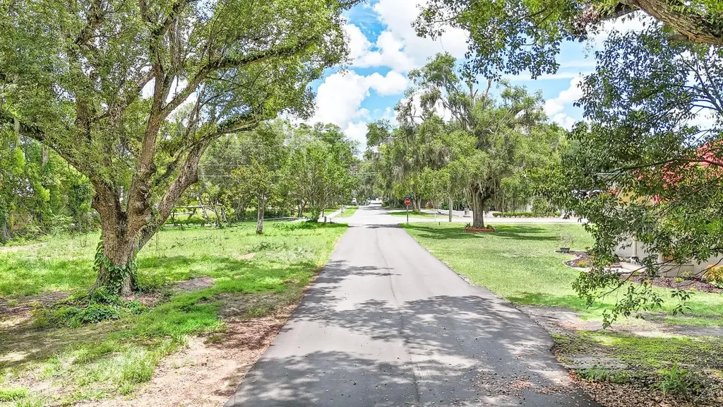 107 S Iona Drive Fruitland Park FL 34731