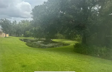 19129 Lake Audubon Drive Tampa FL 33647
