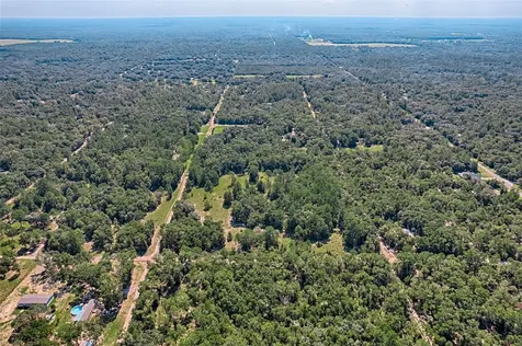 0000 NE 83rd Lane Bronson FL 32621