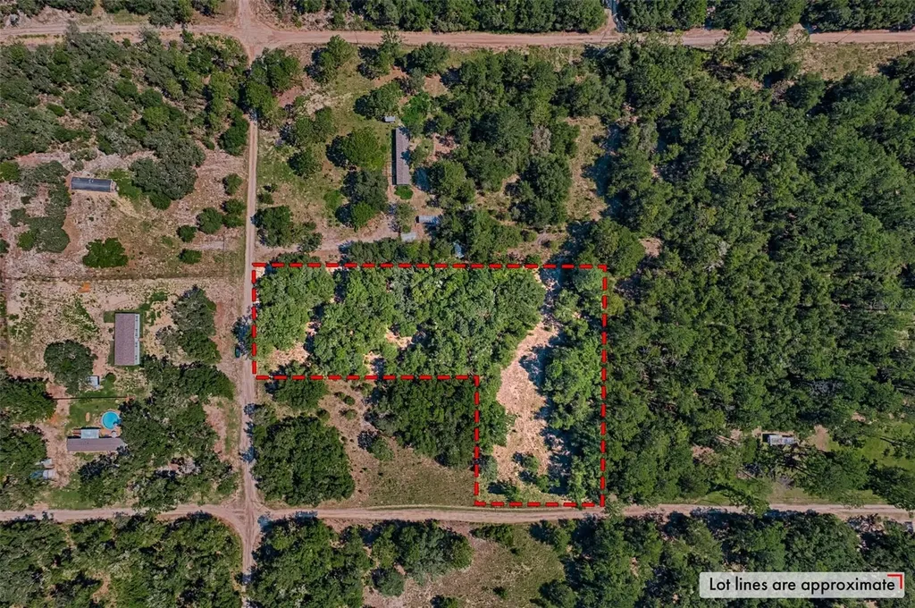NE 82nd Place Bronson FL 32621