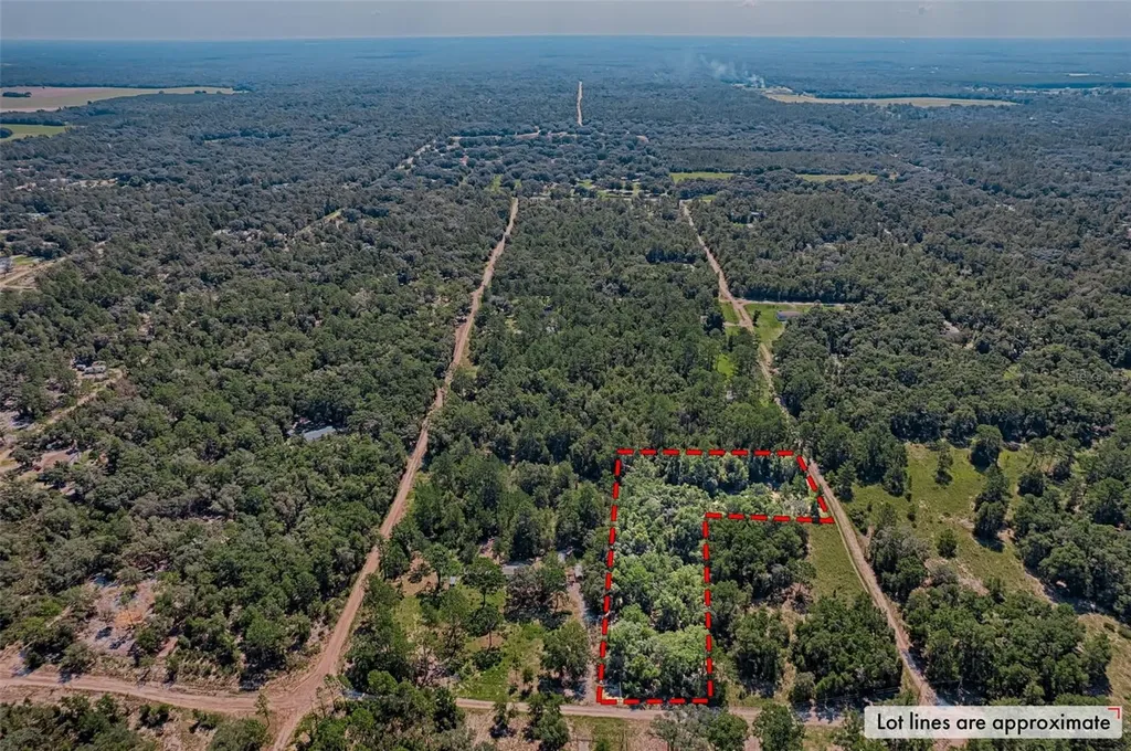 NE 82nd Place Bronson FL 32621