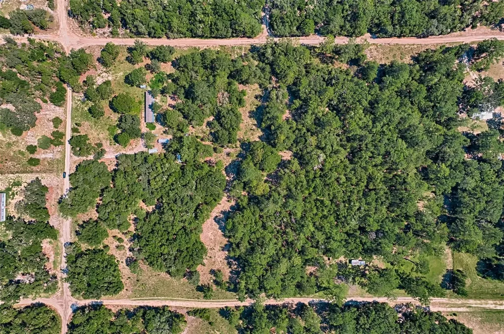 NE 82nd Place Bronson FL 32621