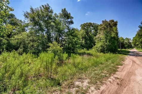 NE 82nd Place Bronson FL 32621