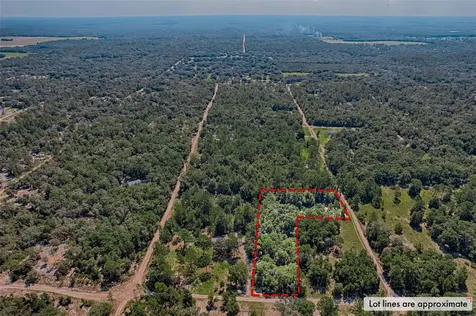 NE 82nd Place Bronson FL 32621