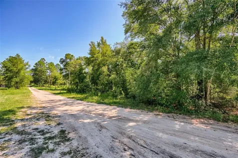 NE 82nd Place Bronson FL 32621