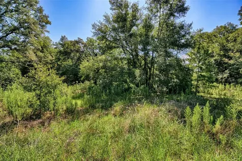 NE 82nd Place Bronson FL 32621