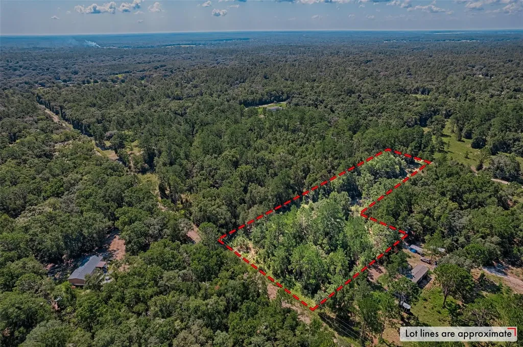 Tbd NE 83rd Lane Bronson FL 32621