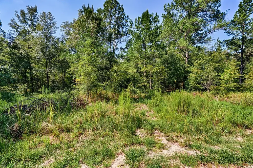 Tbd NE 83rd Lane Bronson FL 32621