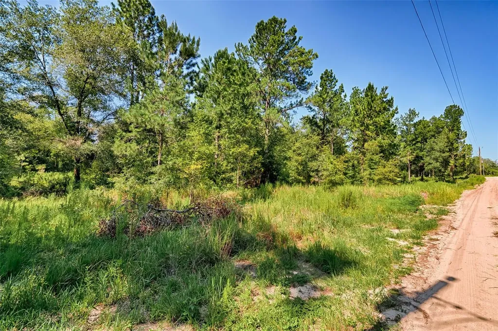 Tbd NE 83rd Lane Bronson FL 32621