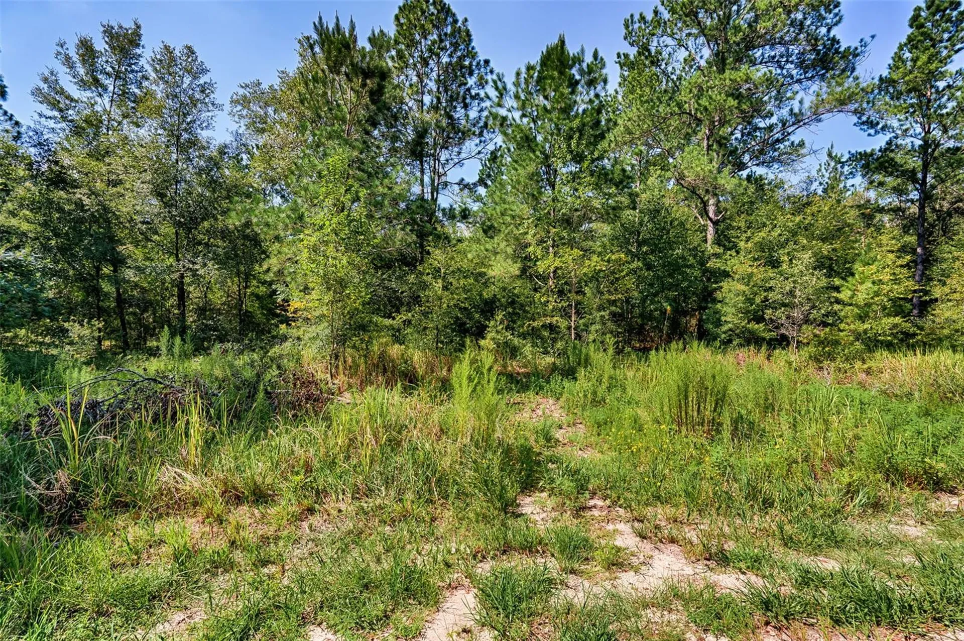 Tbd NE 83rd Lane Bronson FL 32621