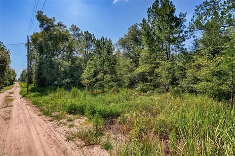 Tbd NE 83rd Lane Bronson FL 32621